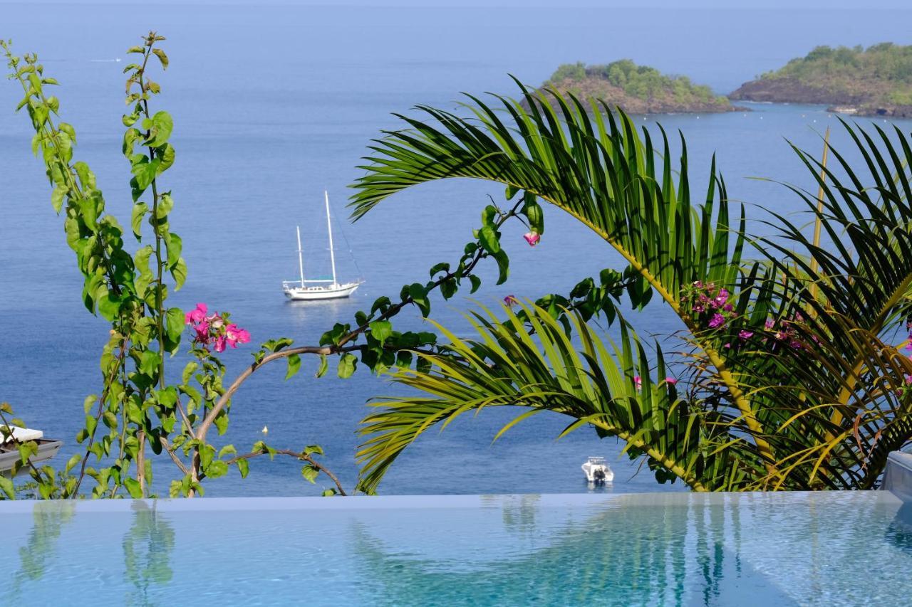 Sunset Palm - Villa Creole Avec Piscine Face Au Coucher De Soleil Et A La Reserve Cousteau Bouillante Exterior photo