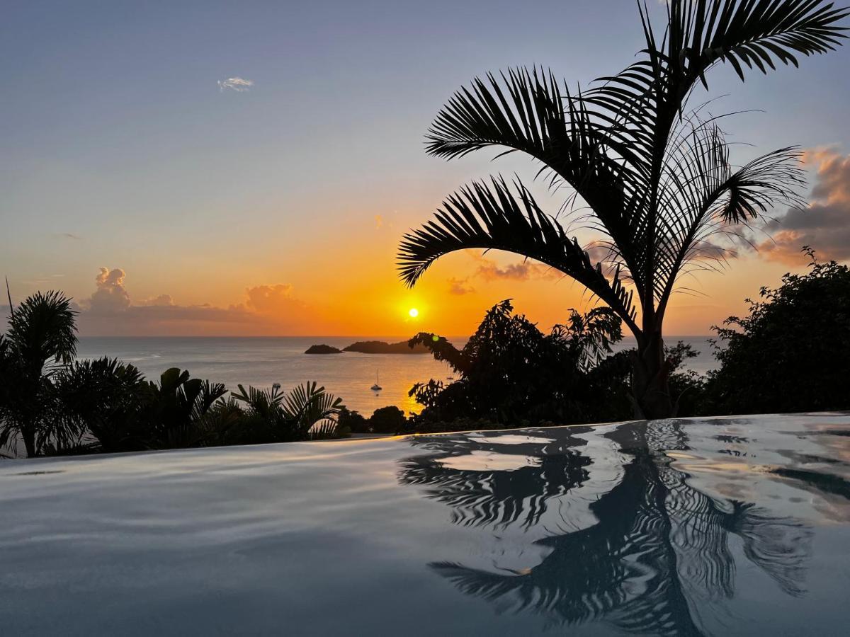 Sunset Palm - Villa Creole Avec Piscine Face Au Coucher De Soleil Et A La Reserve Cousteau Bouillante Exterior photo